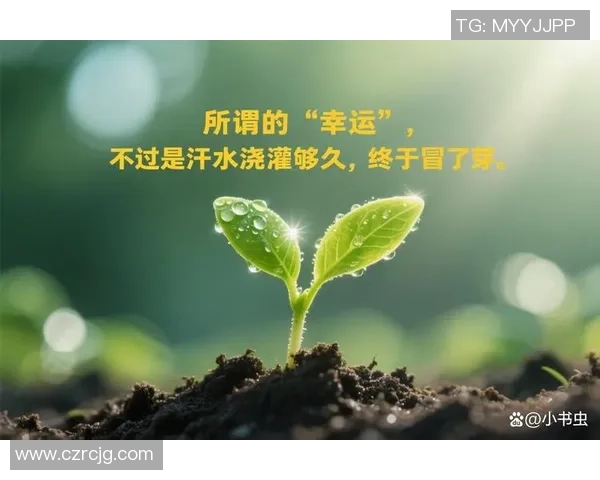 在逆境中寻找希望的光芒或许是绝境中的另一种可能