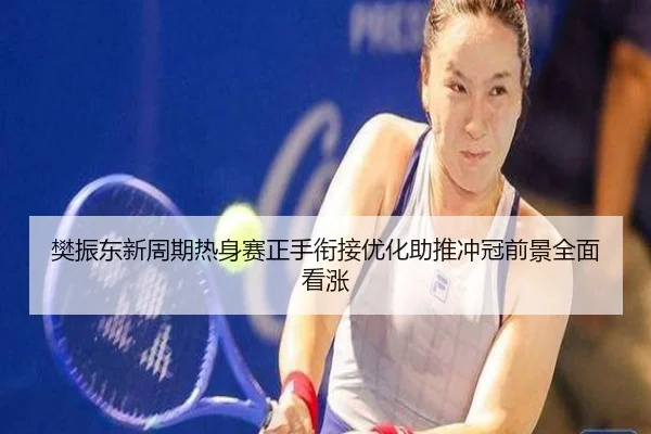 樊振东新周期热身赛正手衔接优化助推冲冠前景全面看涨